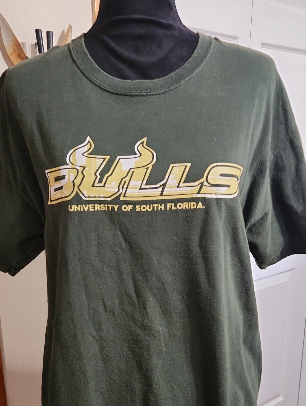 Gildan Dark Green Bulls Graphic Tee with Gold & White Logo